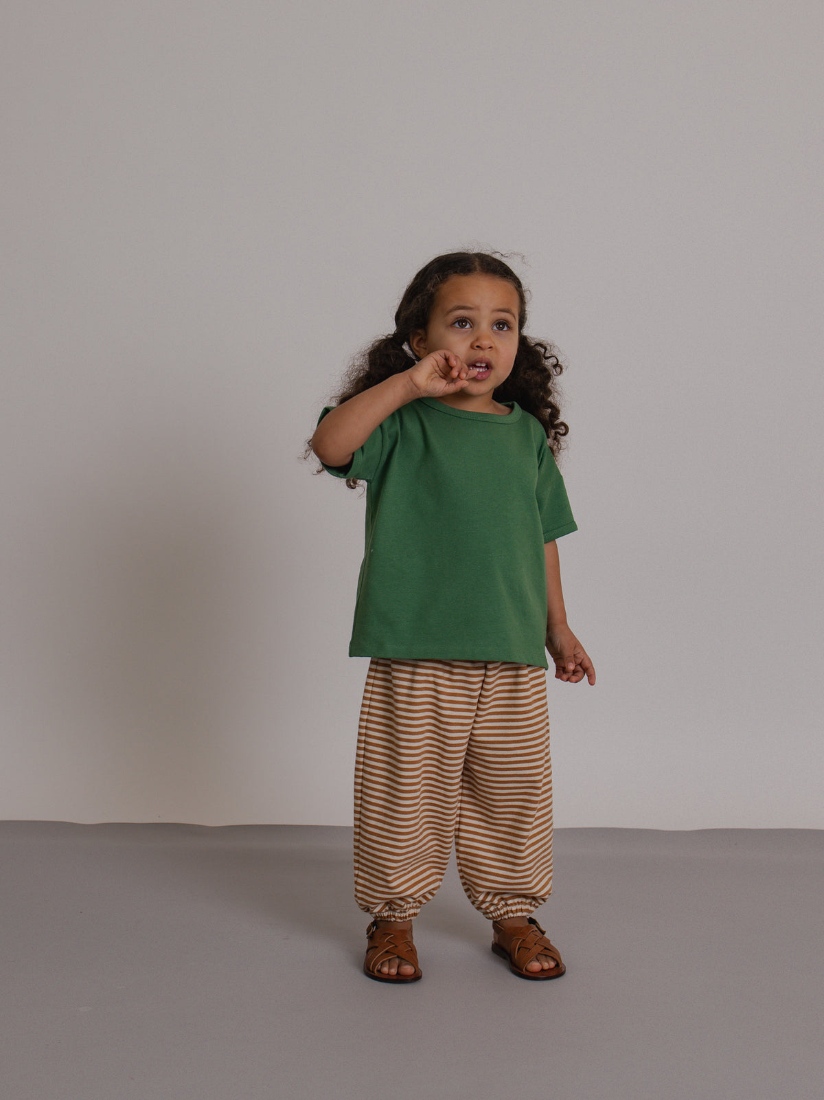 Copper Stripes Pants