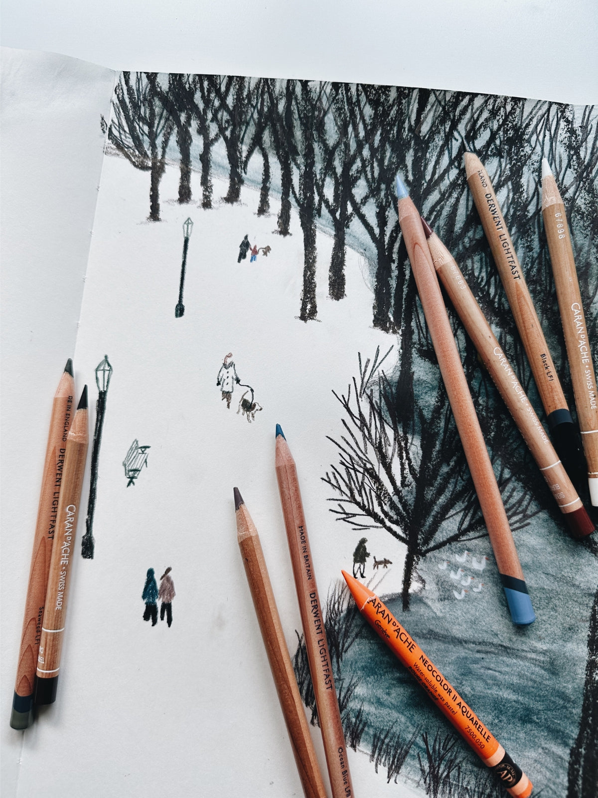 Wintry Park - Print - See You See Me
