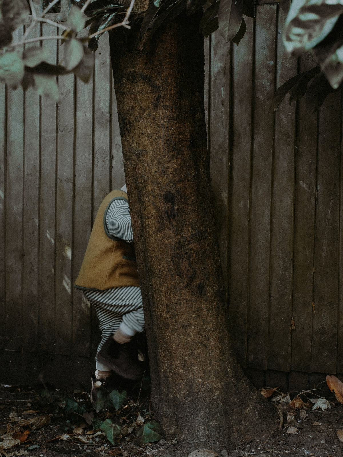 A child in a mustard yellow vest and striped shirt crouches behind a large tree trunk next to a weathered wooden  fence.