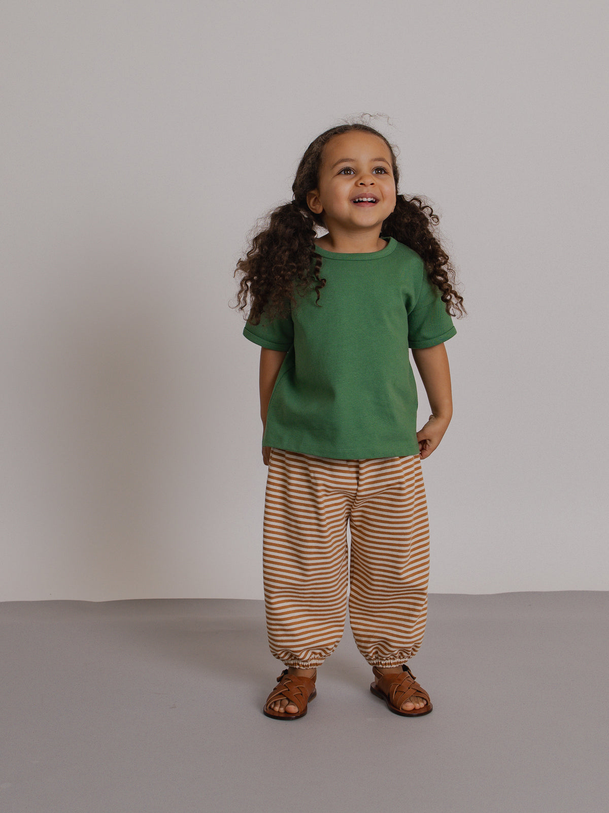 Copper Stripes Pants