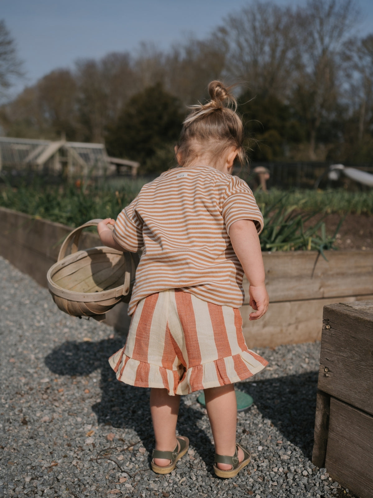 Tomato Stripes Frill Shorts
